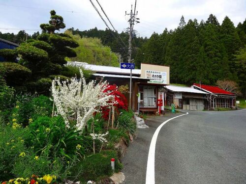 Dsc05118 和泉平