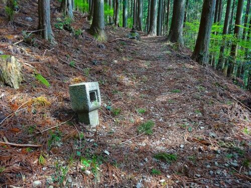 Dsc05219 自然歩道下山道