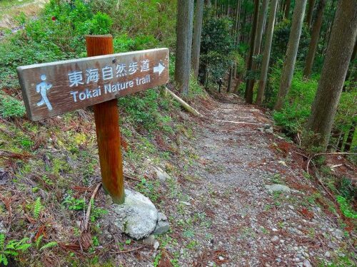 Dsc05221 自然歩道下山道