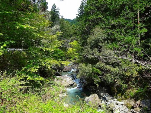 Dsc05270 白倉川
