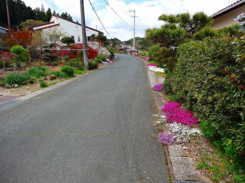 Dsc05380 巣山の花街道