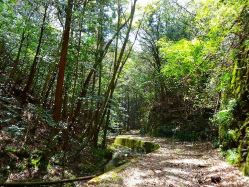 Dsc05390 山道歩き