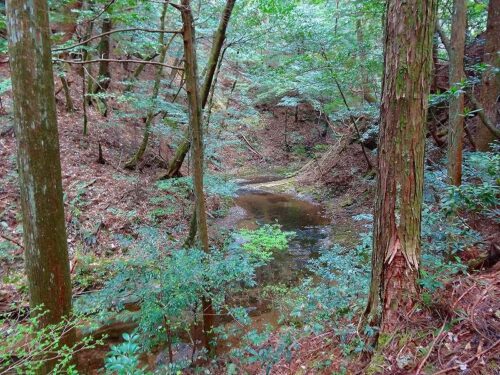 Dsc05392 山道歩き