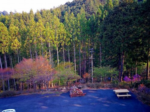 Img_20170422_165433 ペンション龍山ふるさと村