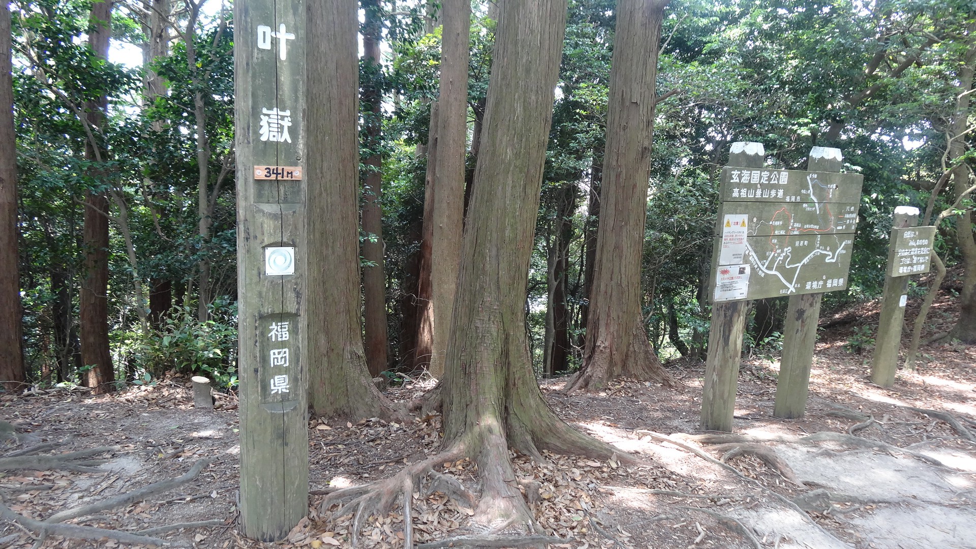 叶嶽 341m