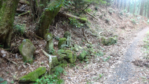 Dsc05583 山道歩き