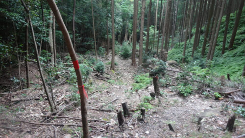 Dsc05631 道しるべ