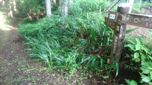 Dsc05695 道しるべ