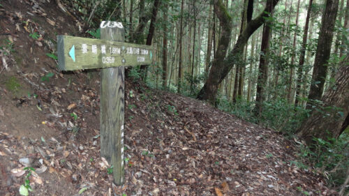 Dsc05873 巴川沿いを歩く自然歩道