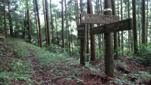 Dsc05875 巴川沿いを歩く自然歩道