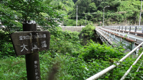 Dsc05877 大国橋渡る