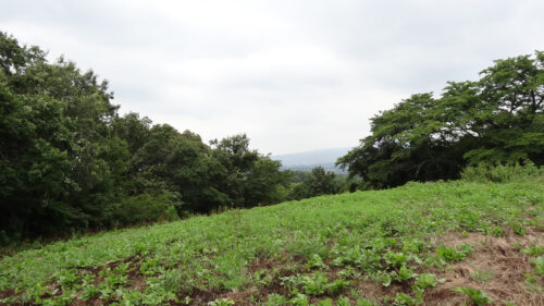 Dsc05917 勘八牧場