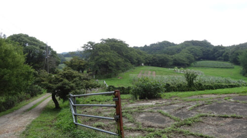 勘八牧場