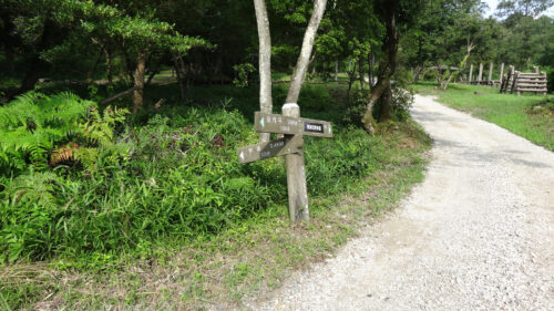 Dsc05981 道しるべ
