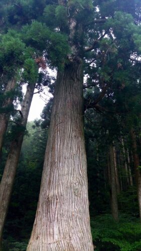 池葉守護神社