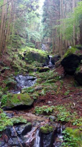 Img_20170726_095933 山道歩き