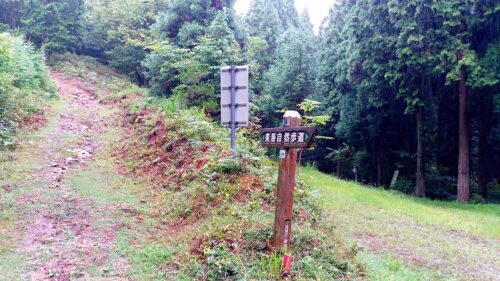 Img_20170727_084230 筈ヶ岳分岐