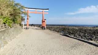 2017青島太平洋マラソン