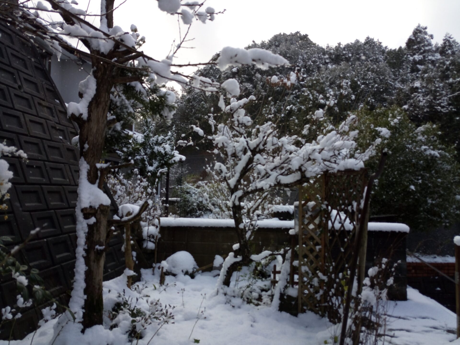 大雪