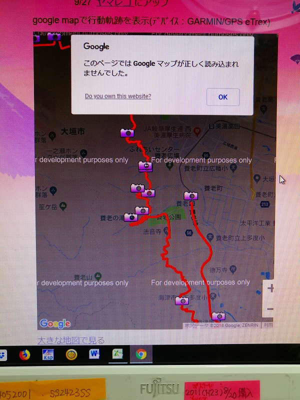 googole maps API