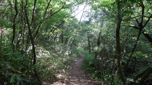 Dsc06685 山道歩き