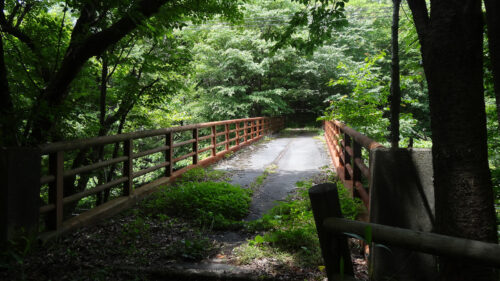 Dsc06727 国道248の高架陸橋