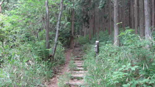 Dsc06774 山道歩き