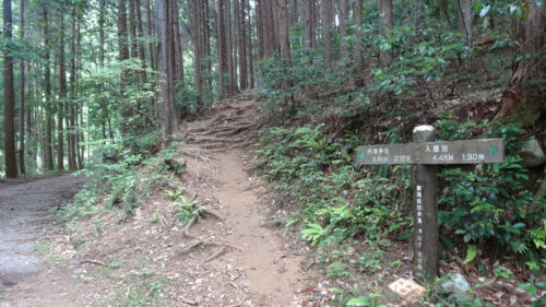 Dsc06813 道しるべ