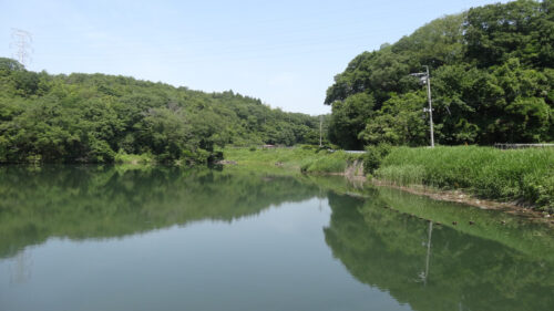 Dsc06858 丸山池