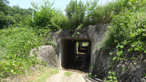 Dsc06860 県道461尾張パークウエイの下