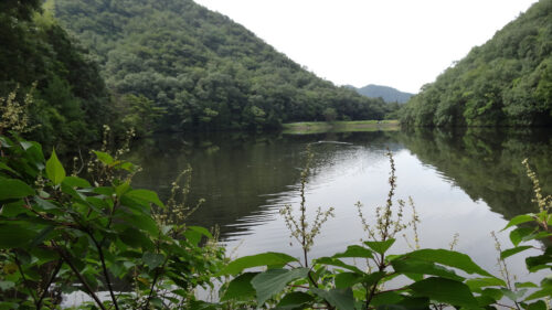 寒洞池