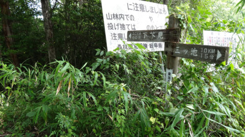舗装林道