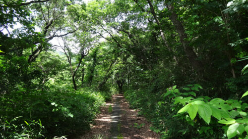 老洞峠