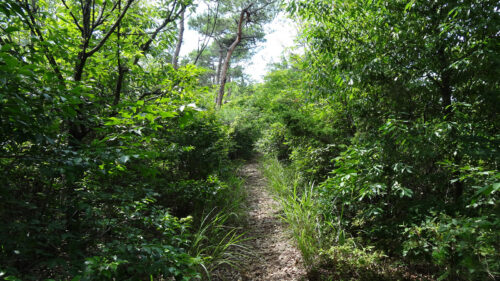 山道歩き