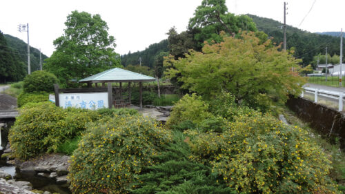 Dsc07119_2 湯ノ古公園