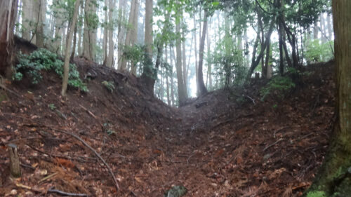 Dsc07138 山道歩き