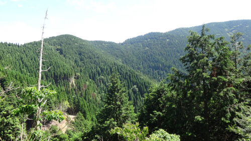 Dsc07203 下辻峠
