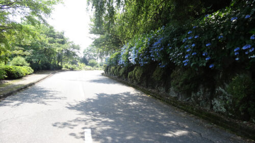 Dsc07258 大津谷公園