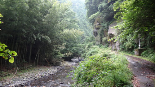 Dsc07292 沢沿い林道