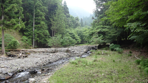 Dsc07307 山道へ入る