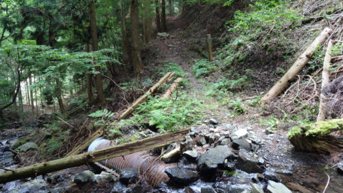 Dsc07308 山道へ入る