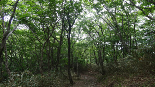 Dsc07315 山道歩き