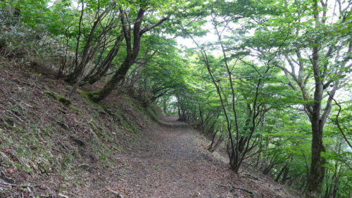 Dsc07319 下り歩き