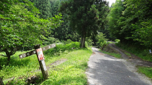 Dsc07326 林道に出る