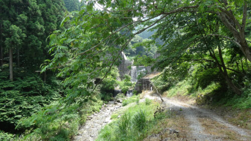 Dsc07327 林道に出る