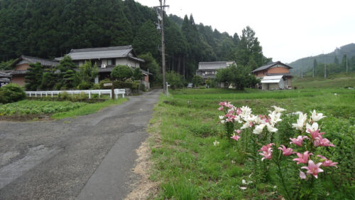 Dsc07375 お花