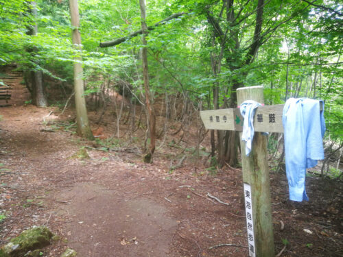 Img_20180624_083524 道しるべ