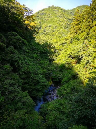 Img_20180624_161711 山並み