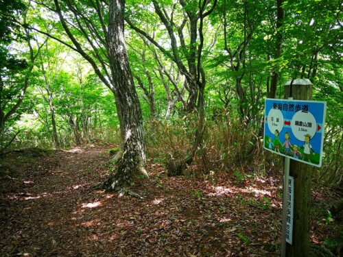 Img_20180626_113957 道しるべ