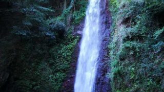 Thumbnail of post image 120